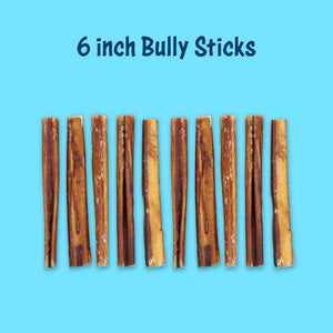 Safe Fit 6" Bully Sticks - Wholesale