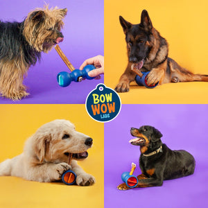 Bully Buddy Starter Kit | Wholesale