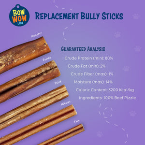 Bully Buddy Starter Kit | Wholesale