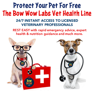 Vet Health Line - Annual Subscription