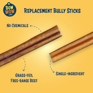 Bully Buddy Starter Kit | Wholesale