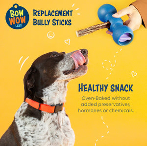 Bully Buddy Starter Kit | Wholesale